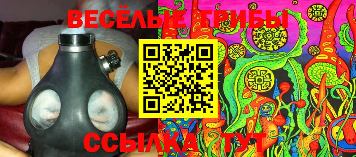 Псилоцибиновые грибы GOLDEN TEACHER  Вход с VPN  Губкин 